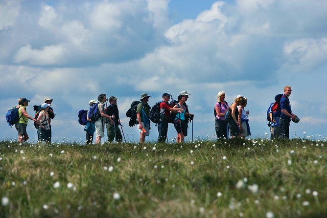 1/2 Day Pilgrim's Walk on St Patrick's Way and Lunch - How the route hangs together from start to finish