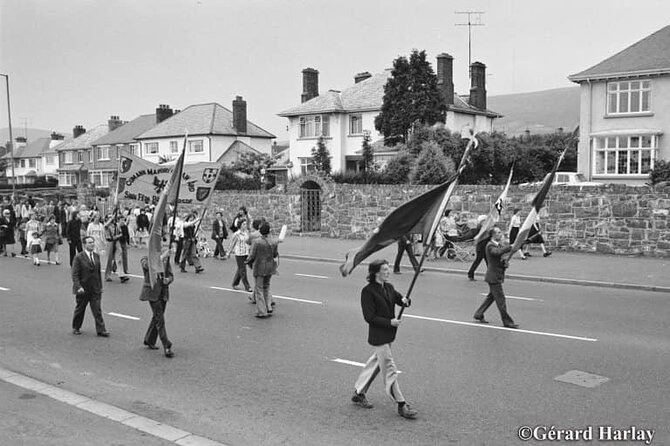 2 hours Belfast Original Drivers The Troubles Black Taxi Tour - Who this Belfast Troubles black taxi tour is best for