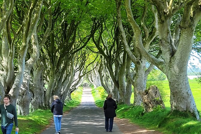 4 Hours Private Belfast City Tours - Price and Value: What $685 Per Group Really Buys