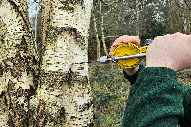 Adult Foraging Walk & Bushcraft Cookery Course for Beginners - Key Highlights I’d Plan Around