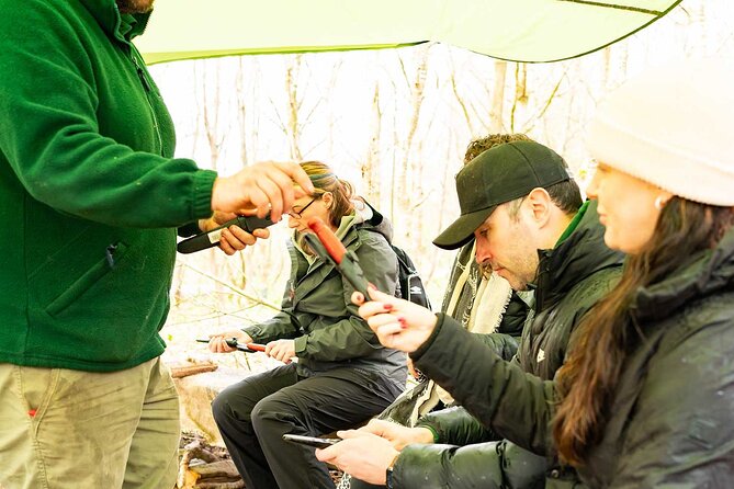 Adult Foraging Walk & Bushcraft Cookery Course for Beginners - How the Half-Day Schedule Really Feels On the Ground