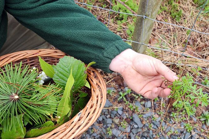 Adult Foraging Walk & Bushcraft Cookery Course for Beginners - Responsible Foraging: The Ethics Part You Can Actually Use
