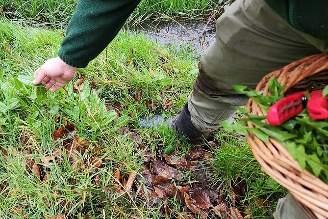 Adult Foraging Walk & Bushcraft Cookery Course for Beginners - Tasting Out of Season: Why That Lesson Is Smarter Than It Sounds