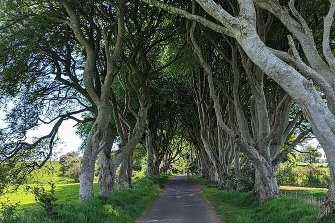 Belfast & Giants Causeway Luxury Mercedes Private Tour for 6 pax - Key highlights