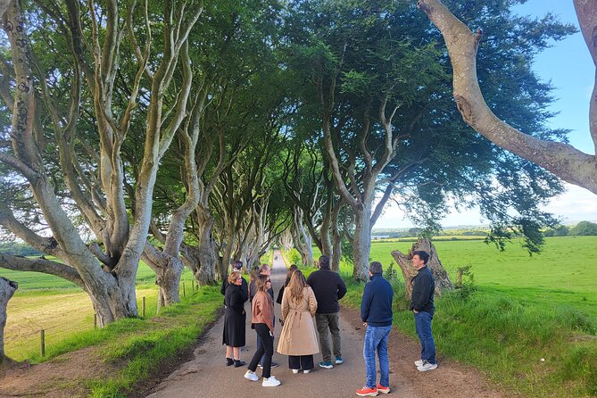 Belfast & Giants Causeway Luxury Mercedes Private Tour for 6 pax - Game of Thrones filming locations, used wisely