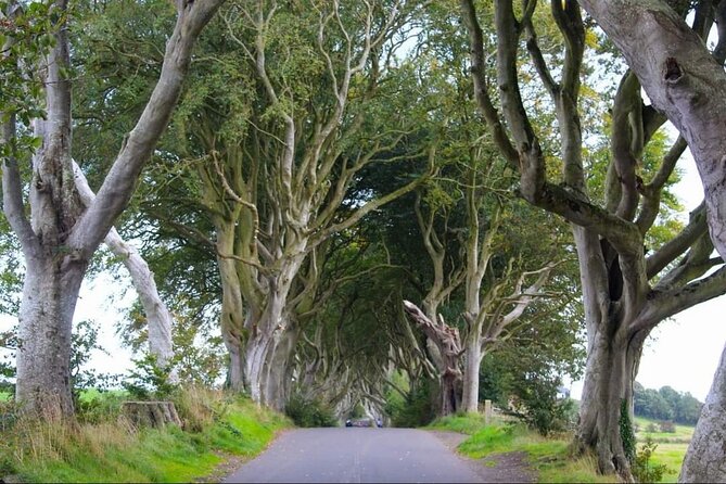 Experience the Antrim Coast and the Land of Giants - Private Tour - Giant’s Causeway: walking the rocks and the cliff edge views