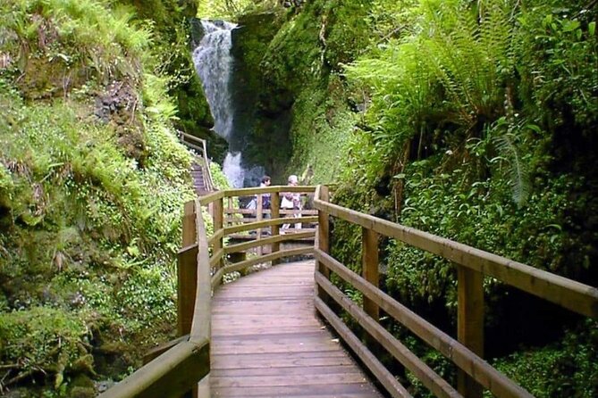 Experience the Antrim Coast and the Land of Giants - Private Tour - Carrick-a-Rede Rope Bridge: the cliffside walk is part of the experience