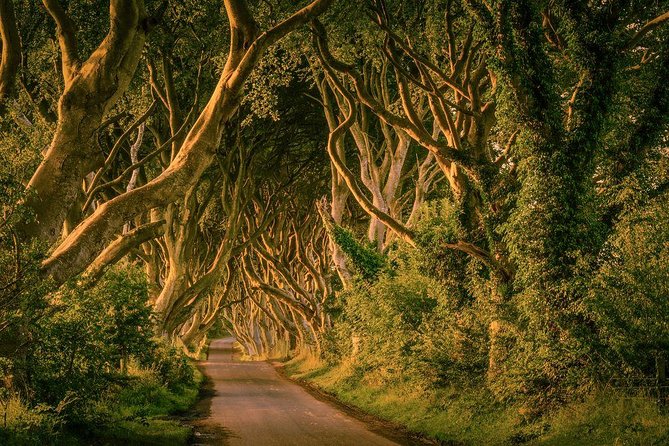 From Belfast-Giants Causeway, Dunluce Castle and Dark Hedges tour - The Day’s Pace: Why the Short Stops Matter for Value