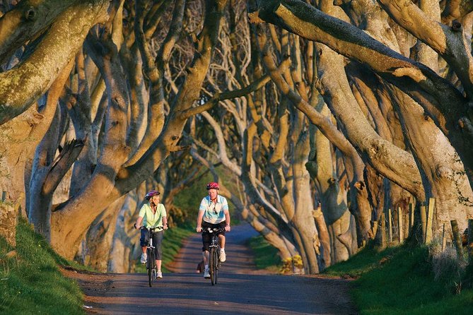 From Belfast-Giants Causeway, Dunluce Castle and Dark Hedges tour - Price and Logistics: What $69.45 Buys (and What It Does Not)