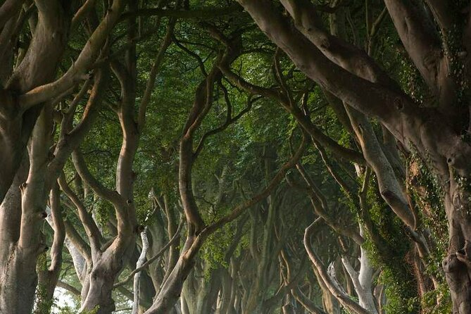 Full Day Private Luxury Tour of Causeway Coast (Giants Causeway) - Ballintoy Harbour: calm coast, photo moments, and quiet Game of Thrones energy