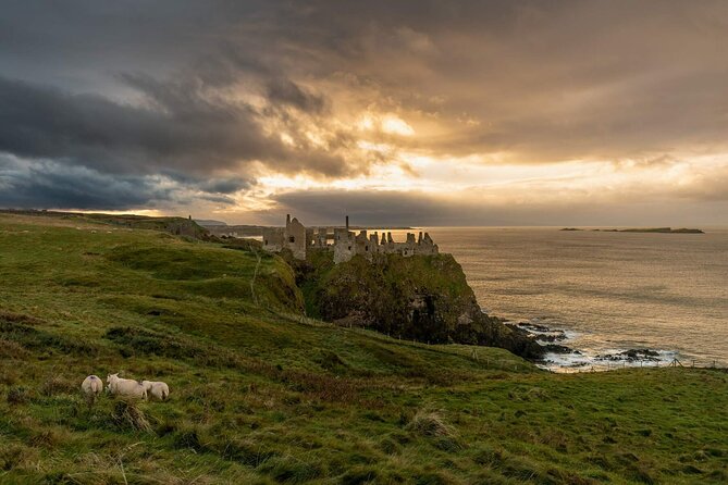 Full Day Private Luxury Tour of Causeway Coast (Giants Causeway) - How the luxury van makes long drives feel short