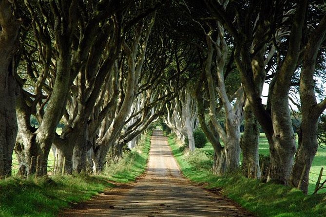 Game of Thrones and Giant's Causeway Day Tour from Belfast - Bushmills Distillery: why the whisky stop is more than a break