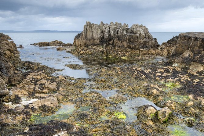 Game of Thrones and Giant's Causeway Full-Day Tour from Belfast - Why This Belfast Tour Works for Game of Thrones Fans