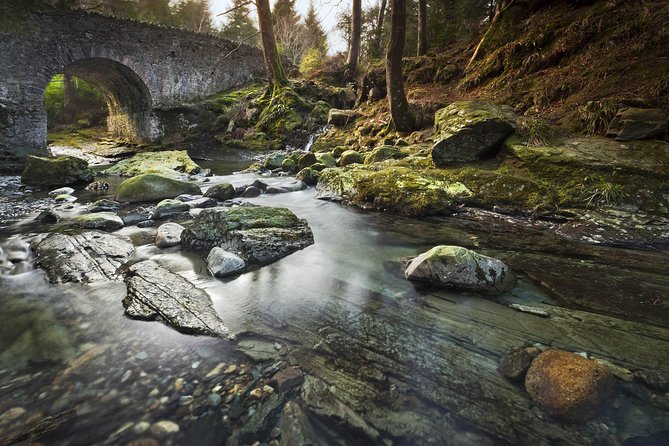 Game of Thrones - Tollymore Forest Trek - Group Size and Pace: Why Small Helps