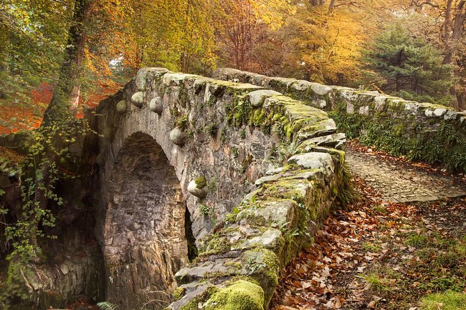 Game of Thrones - Tollymore Forest Trek - Who Should Book This Tour