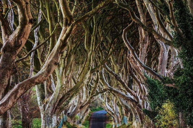 Giant's Causeway Full Day Tour from Belfast - Live Commentary and the Guide Experience: Hearing the Story Clearly