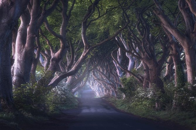 Giants Causeway & Game of Thrones Tour from Belfast - Ballintoy Harbour, Larrybane Quarry, and the show’s harsh North mood