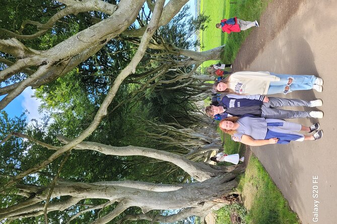 Giants causeway private tour 1 to 7 people - Dunluce Castle ruins: quick look, romantic mood, and time to regroup