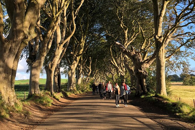 Giants Causeway, Rope Bridge, Carrickfergus Castle and Dark Hedges Tour - Dunluce Castle: a cliffside Game of Thrones photo finish