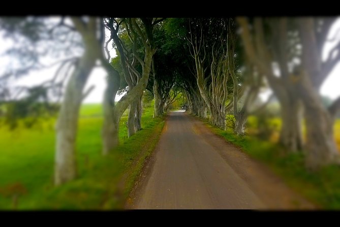 Guided Day Tour of Giant's Causeway from Belfast by Comfortable Coach - Carnlough comfort break, plus the Bravos filming connection