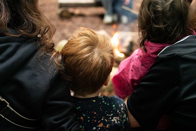 Muddy Tots Go Wild Forest School Ballynahinch County Down - The beech woodland, two tiers, and how the day stays workable