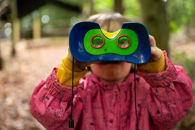 Muddy Tots Go Wild Forest School Ballynahinch County Down - Guided forest fun: den building, fairy doors, and kid-led curiosity