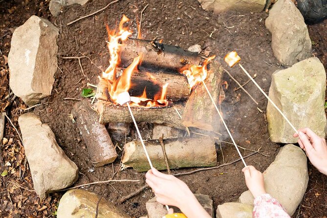 Muddy Tots Go Wild Forest School Ballynahinch County Down - The pond stop: wildlife spotting without the pressure