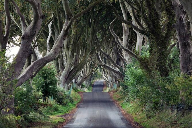 Private Giant's Causeway Tour including Game of Thrones Sites - Price and what to budget for, including paid entry fees