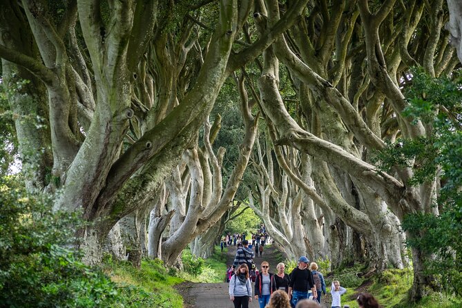 Private Giants Causeway Tour From Belfast - Private Giants Causeway Tour From Belfast: What You’re Actually Paying For