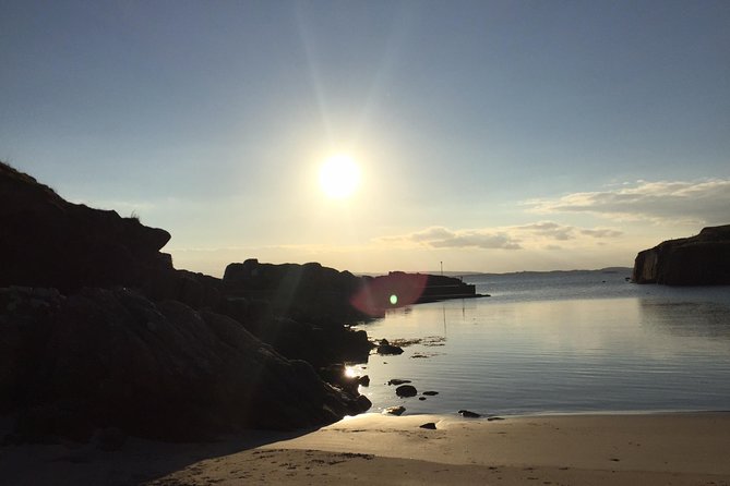 Shore Excursion Giants Causeway Private Tour - Key highlights to pay attention to