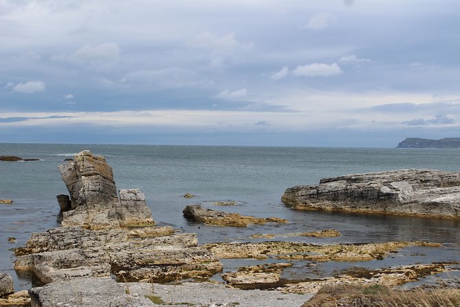 Small Group Giant's Causeway Day Tour from Belfast - Belfast Mural Tours Style: Guides, Vans, and Personal Attention
