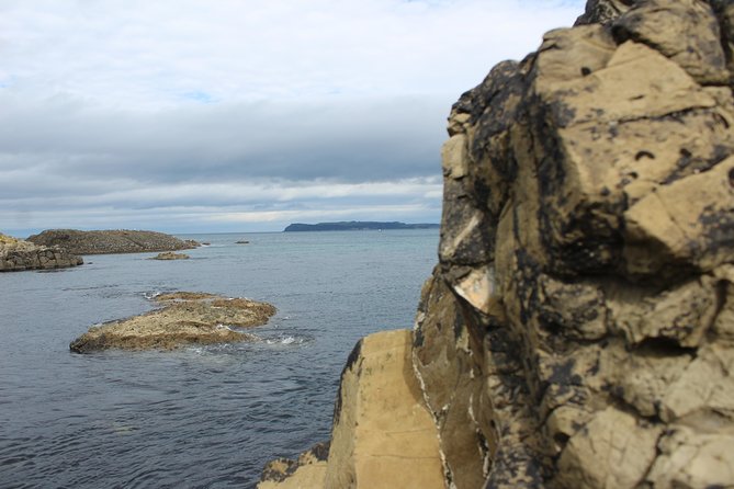 Small Group Giant's Causeway Day Tour from Belfast - Price and Value: What $815.90 Covers and Who It Fits