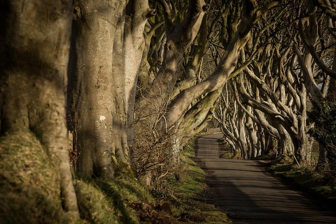 Titanic Experience and Giant's Causeway tour from Belfast - Giant’s Causeway in 90 minutes: how to see the hexagonal basalt up close