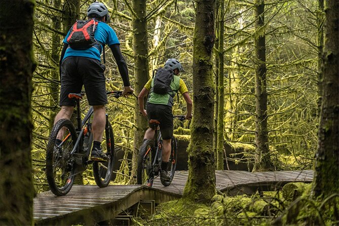 Unforgettable beauty of Northern Ireland from an E-Bike - Castlewellan Forest Park and Trail Riding Options